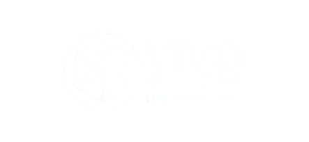 Vivo Gaming live casino provider